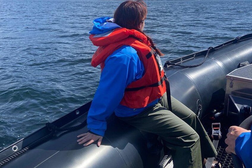 Guests sit on the tube of the Zodiac with feet placed under the foot strap and a hand free for the lifeline running along the top of the tube. Zodiacs are incredibly stable and seaworthy vessels 2