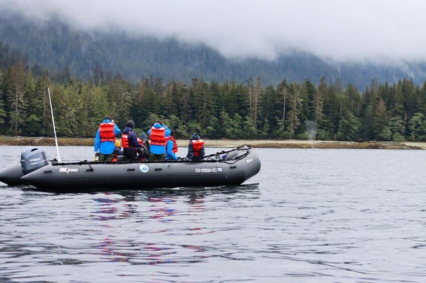 Search for wildlife aboard our 12-passenger Zodiac 3