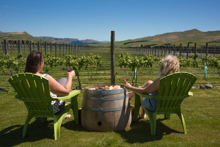 Waipara Wine Experience for 2 or more, inc tastings and lunch 1