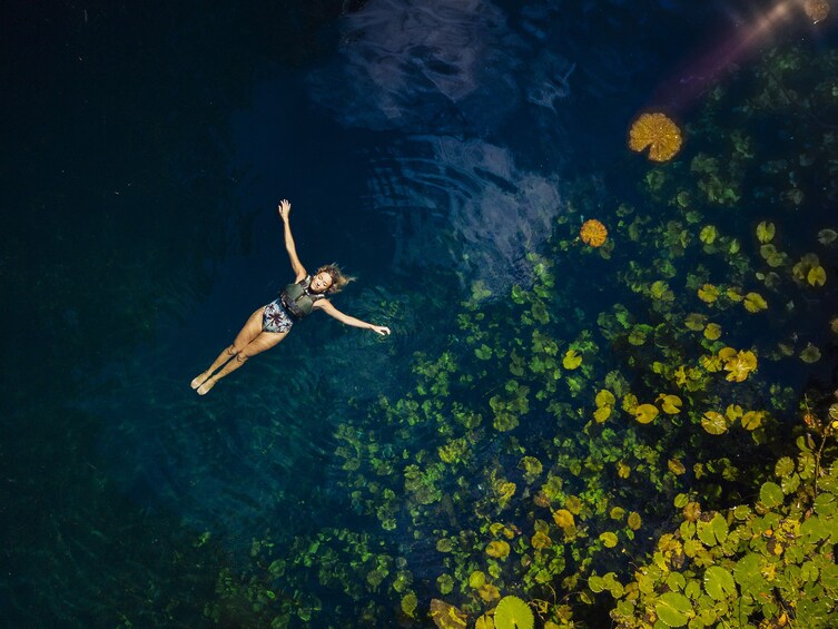 Xenotes Enigmatic Waters Tour 1