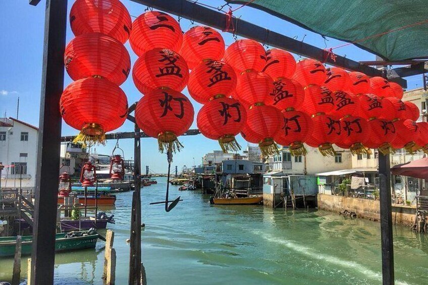 Private custom layover tour - Big Buddha and Tai O - 7 hours 2