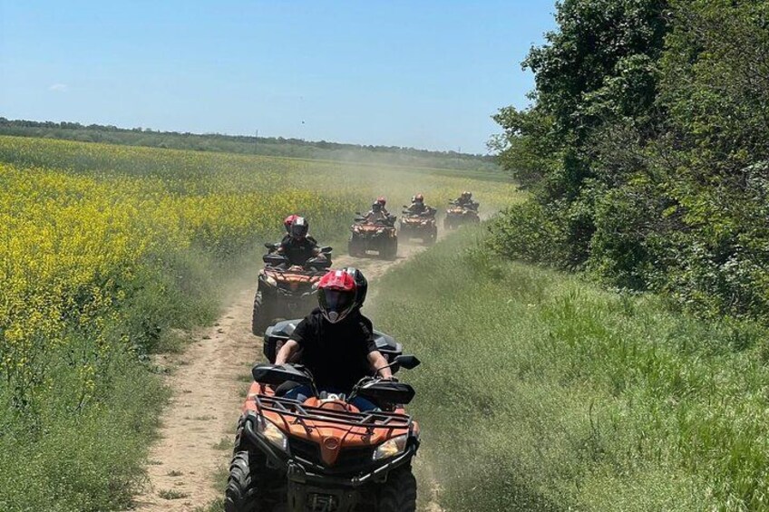 Un grupo de personas circulando en cuatrimotos por un sendero de tierra a través de un campo. 5