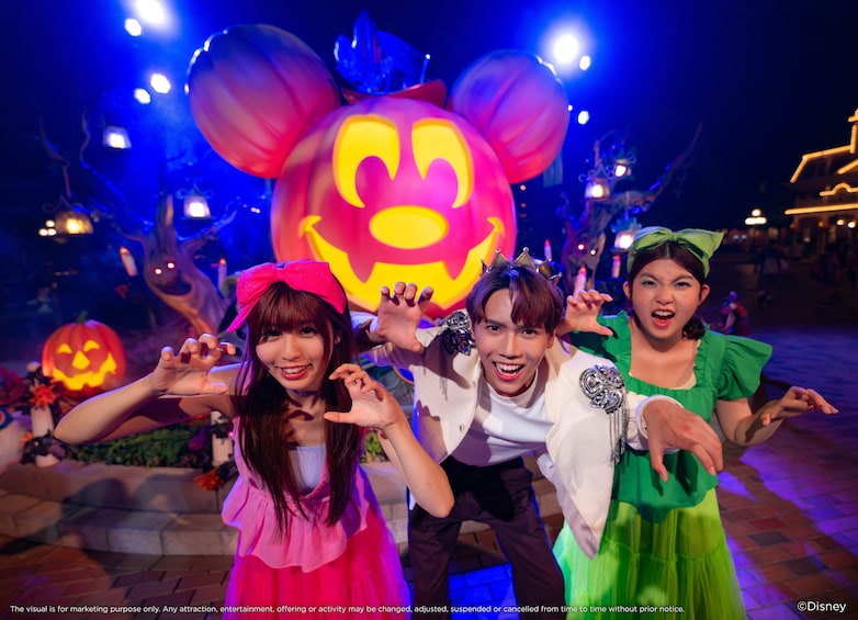 Hong Kong Disneyland Park Tickets 3