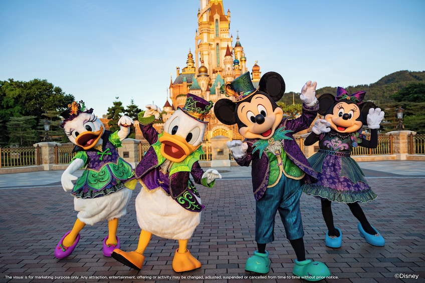 Hong Kong Disneyland Park Tickets 2