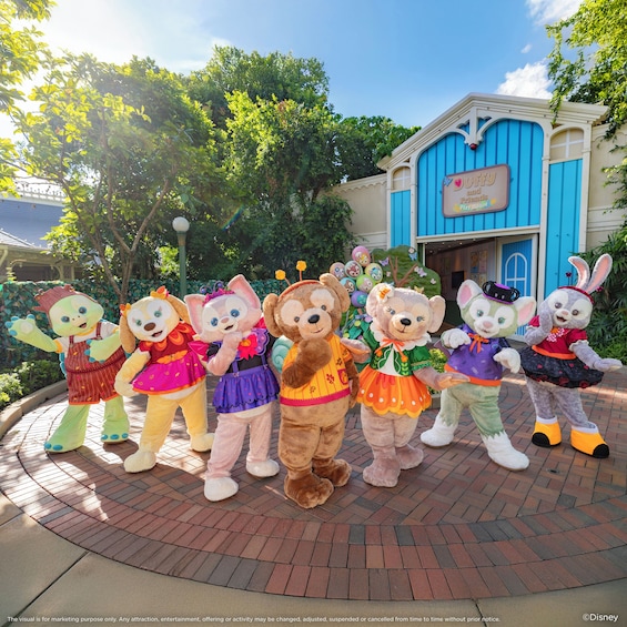 Hong Kong Disneyland Park Tickets 4