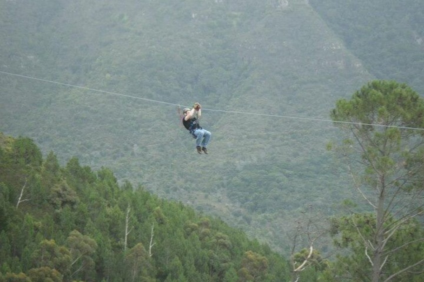 Zipline Cape Town - From Foot of Table Mountain Reserve 2