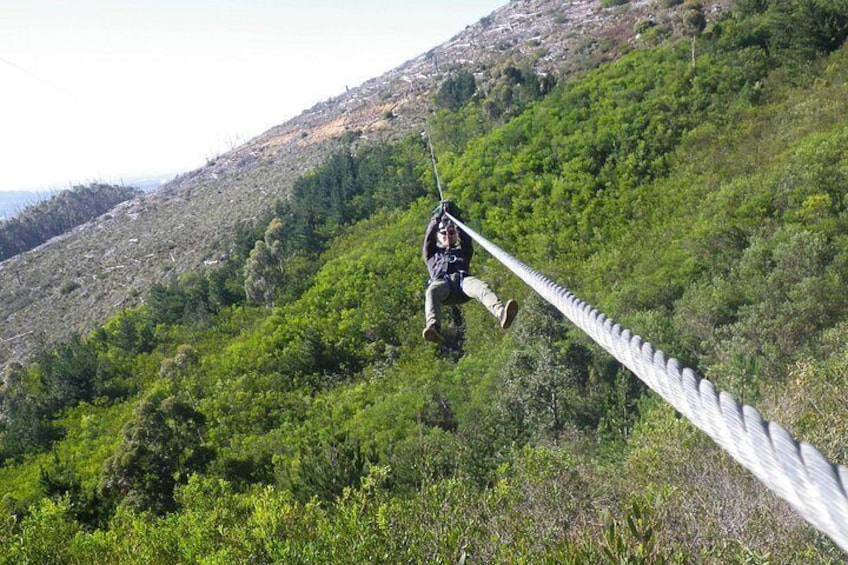A person zip-lining across a mountainous landscape with dense green vegetation. 5