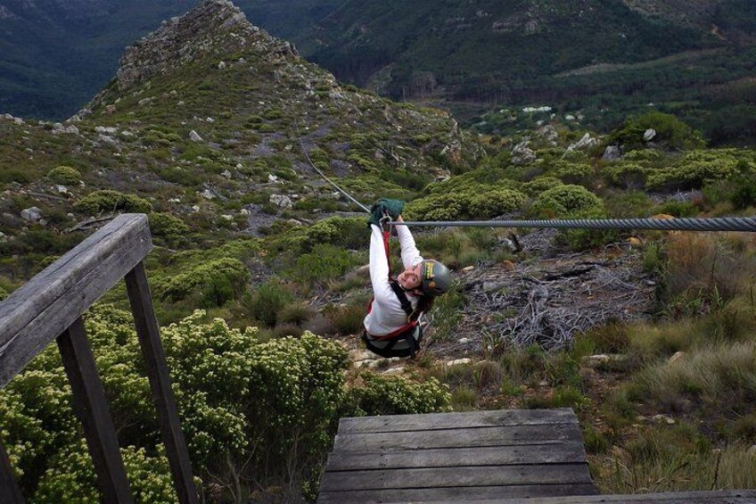 Zipline Cape Town - From Foot of Table Mountain Reserve 2