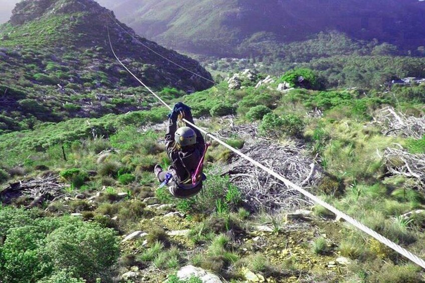 Zipline Cape Town - From Foot of Table Mountain Reserve 3