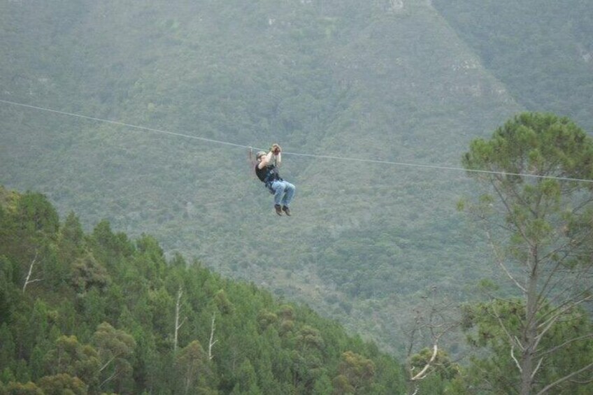 Eine Person macht Bungeejumping von einer Brücke über ein bewaldetes Tal. 2