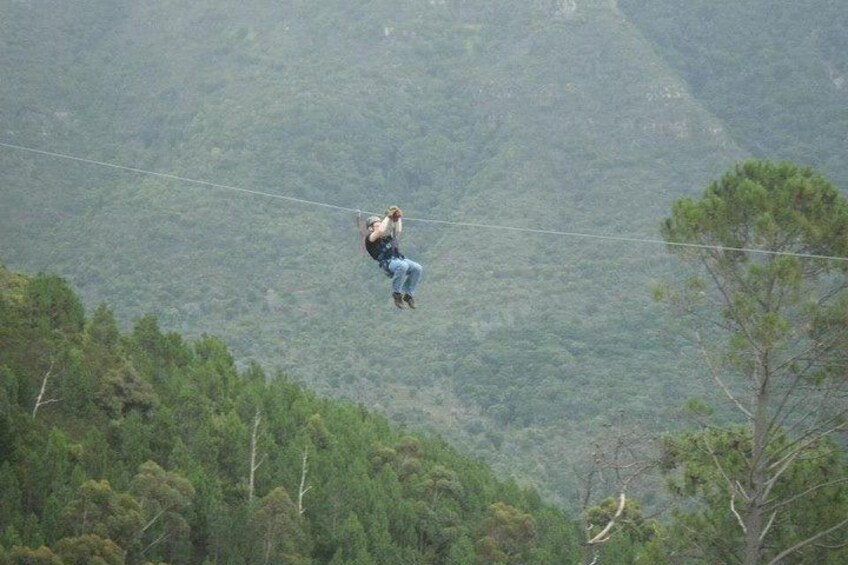 Zipline Cape Town - From Foot of Table Mountain Reserve 2