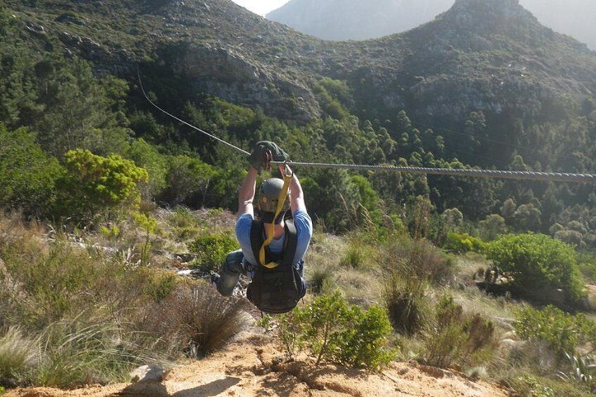 Zipline Cape Town - From Foot of Table Mountain Reserve 4