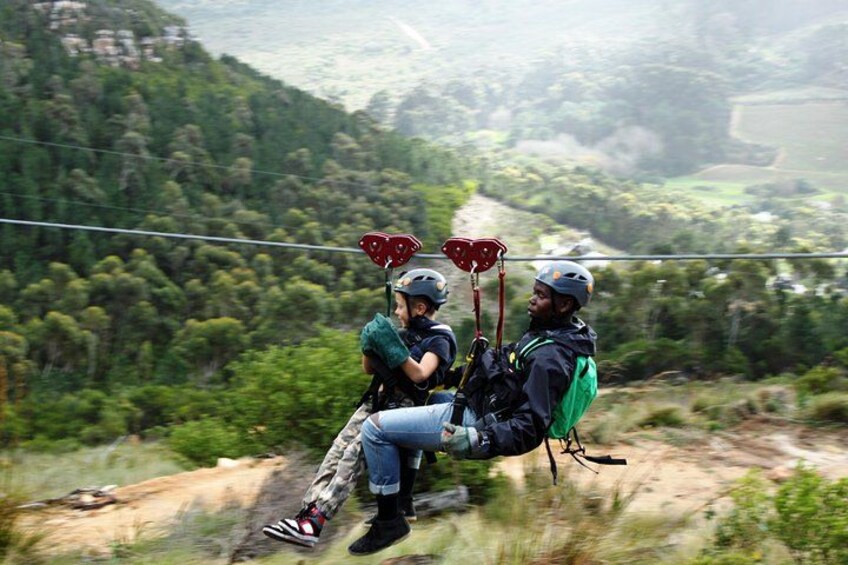 Zipline Cape Town - From Foot of Table Mountain Reserve 3