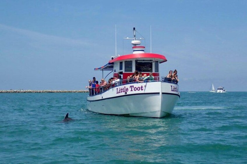 Little Toot Dolphin Adventure at Clearwater Beach 3