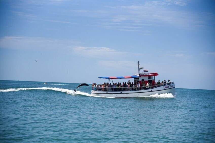 Un bateau avec des personnes à bord, une baleine qui saute hors de l’eau, et un ciel bleu dégagé. 3