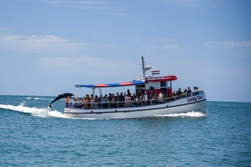 Un bateau appelé « Little Tour II » avec des passagers à bord, et un dauphin sautant hors de l’eau. 3