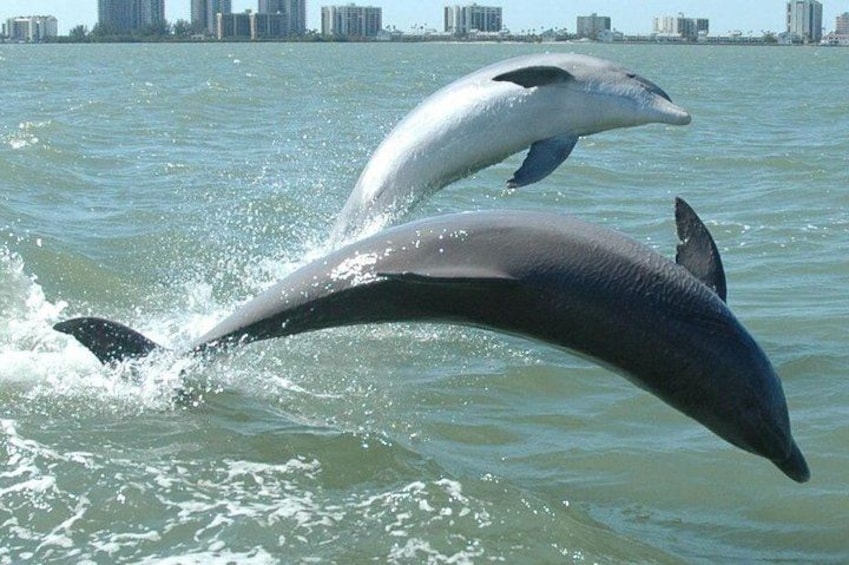 Double Jump! 2