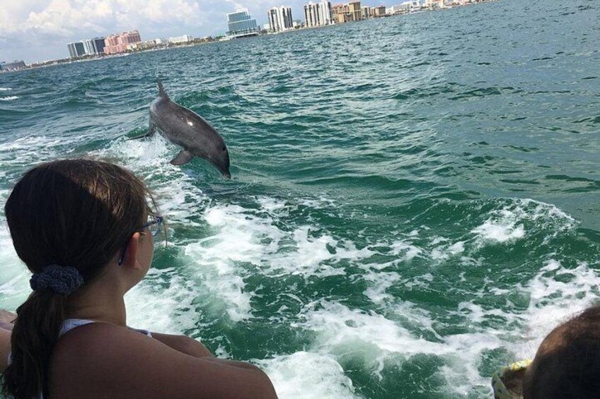 Little Toot Dolphin Adventure at Clearwater Beach 4