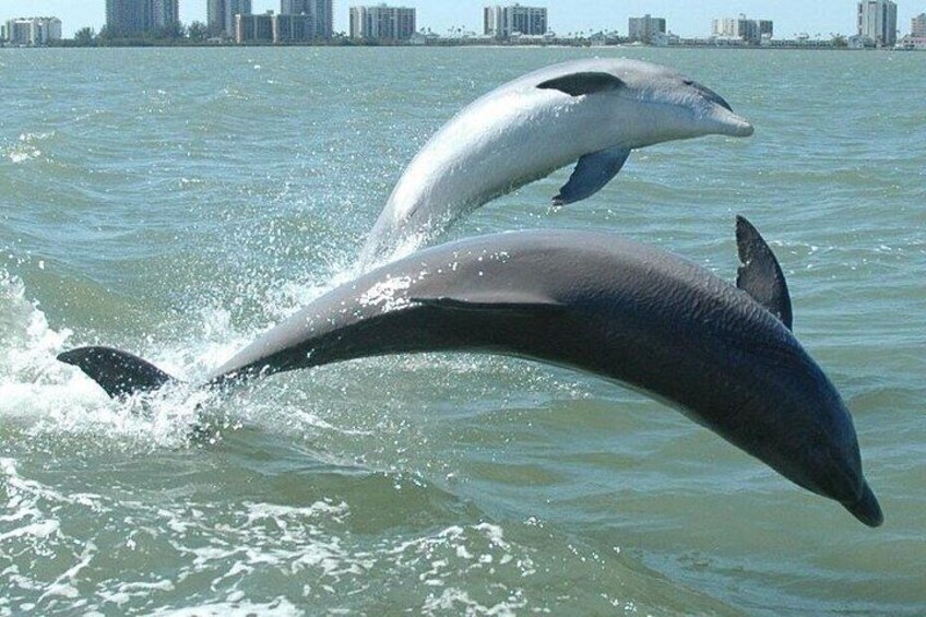 Double Jump! 3