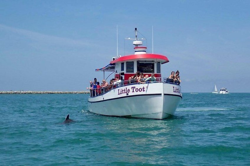 Little Toot Dolphin Adventure at Clearwater Beach 2