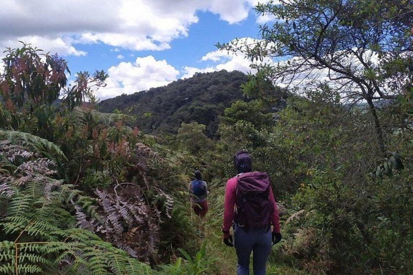 Cerro El Corazón. Medellín 3