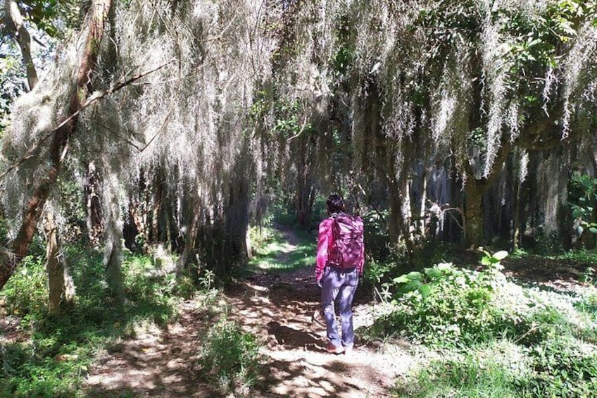 bosques cerca a Medellín 5