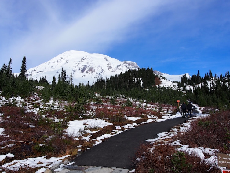 Mt. Rainier Full-Day Tour 