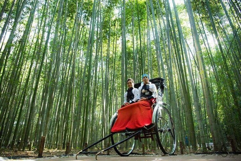 Un bosque de bambú con una bicicleta y una cubierta roja. 2