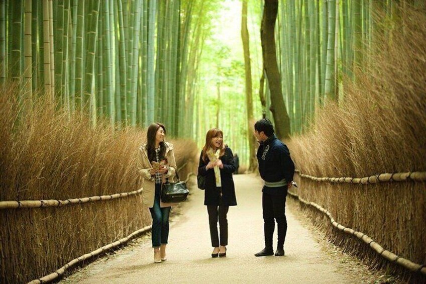 Un sendero bordeado por altos bambúes, con tres personas caminando y conversando. 4
