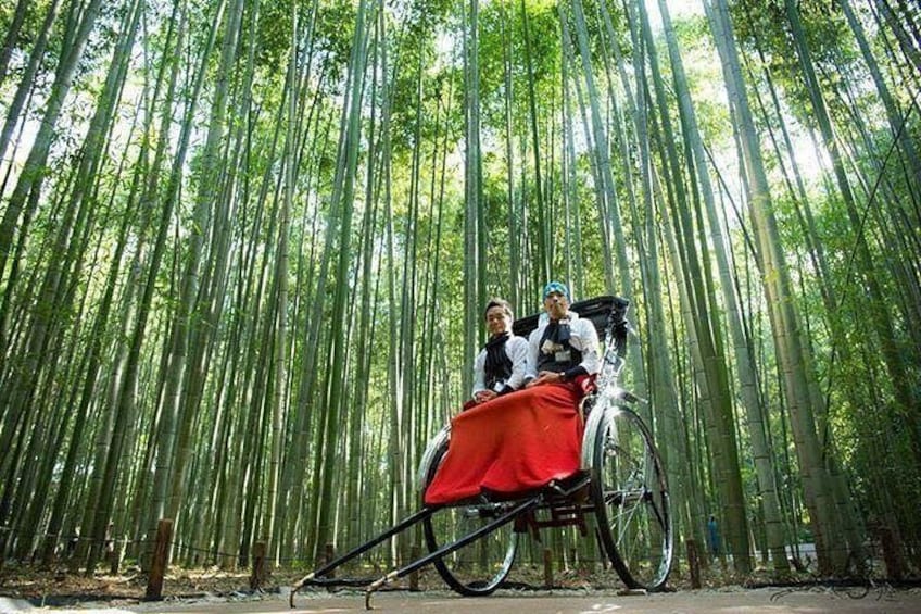A bamboo forest with a bicycle and a red cloth. 2