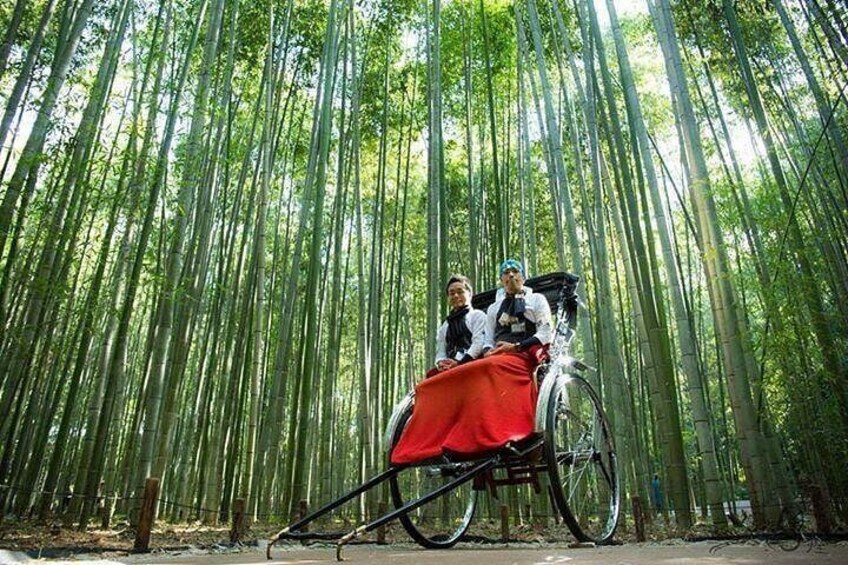 Un bosque de bambú con una bicicleta y un tejido rojo. 2