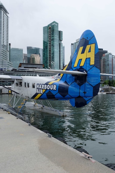 Vancouver Scenic Panorama Seaplane Tour: City, Mountains & Islands 4