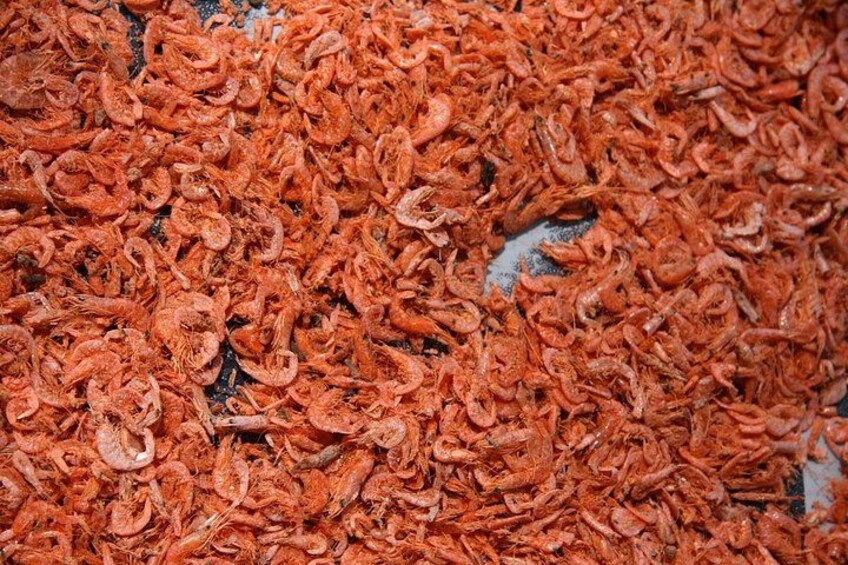 A close-up of dried shrimp. 4