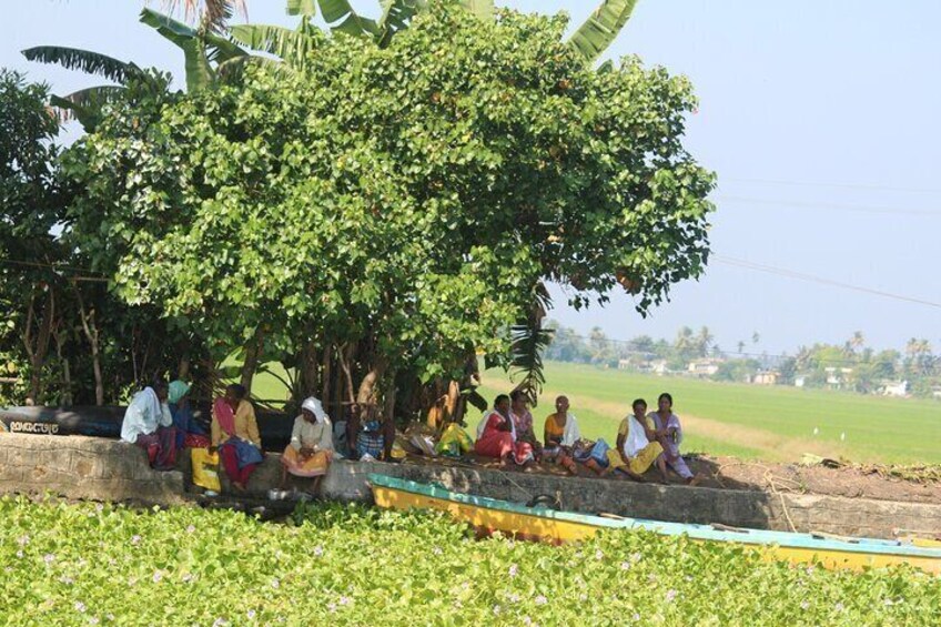 Paddy workers resting side of the fields.