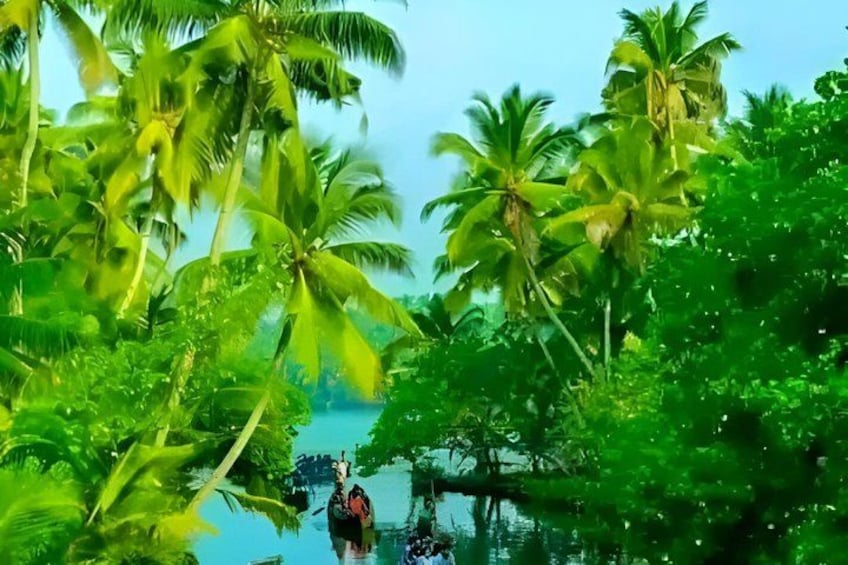 Un paisaje tropical con palmeras y una masa de agua. 4