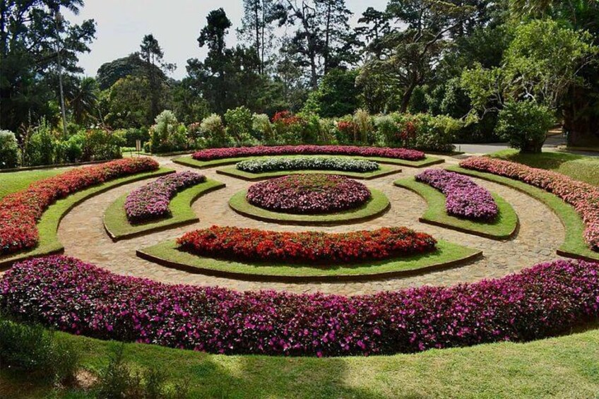 A landscaped garden with circular flower beds and a central pathway. 5
