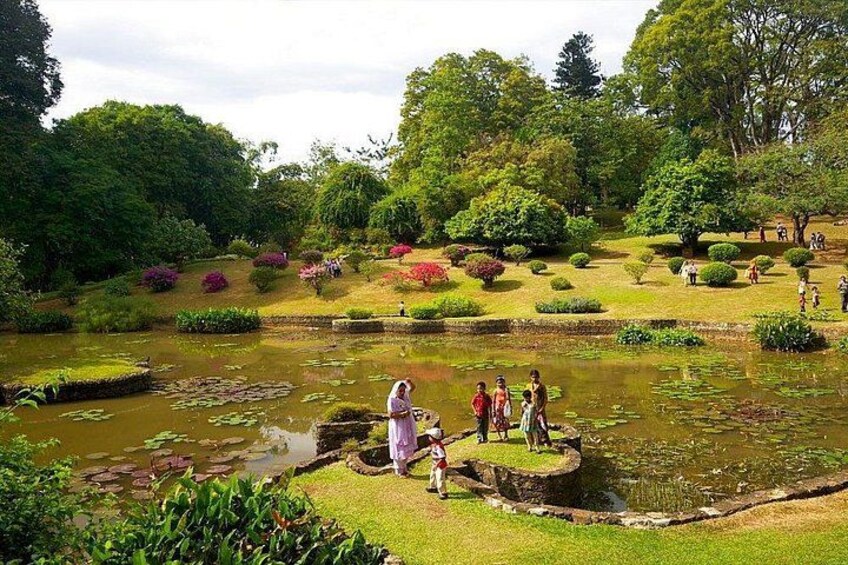 A garden with a pond, people walking, and various plants. 4