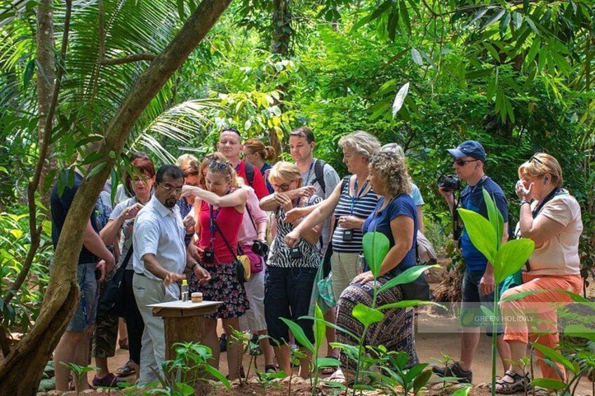 A group of people gathered around a table in a forested area. 3