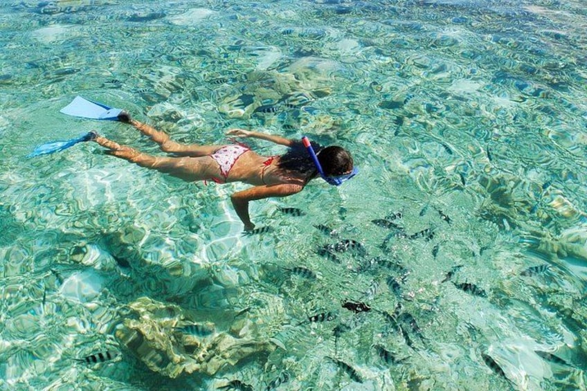 Snorkelling 1