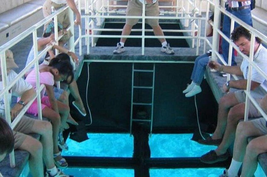 Glass Bottom Boat 5