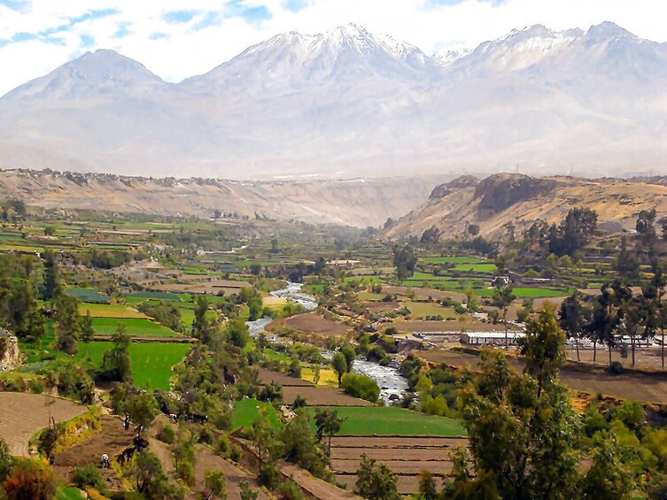 Arequipa and Colca Canyon 4 days and 3 nights