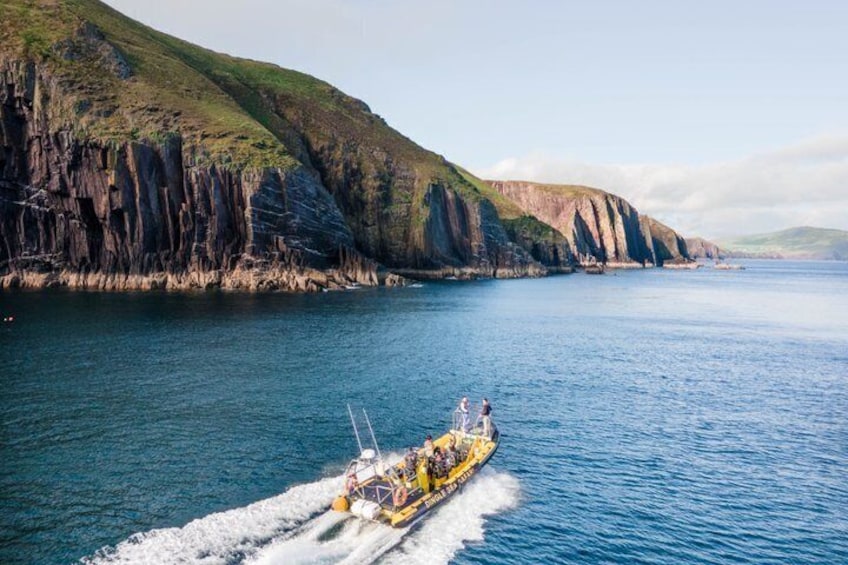 Dingle Sea Safari - Rib boat tour in Dingle Bay 1