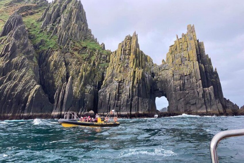 Exhilarating Rib experience - Dingle sea safari 5
