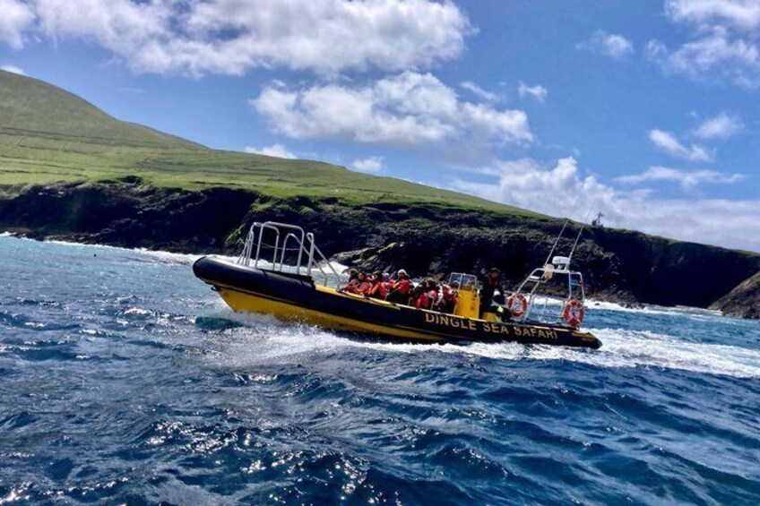 Exhilarating Rib experience - Dingle sea safari 3