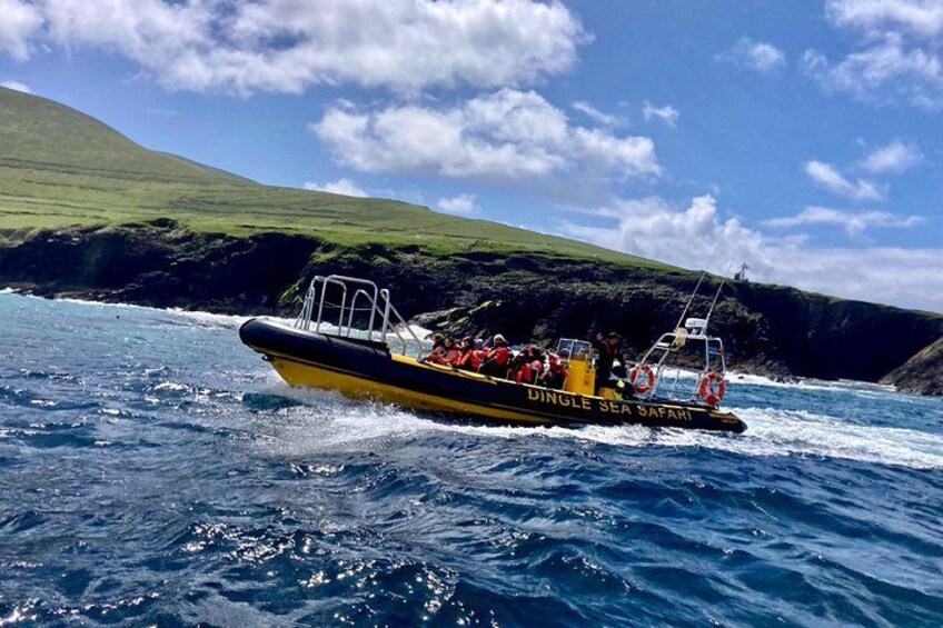 Dingle Sea Safari - Rib boat tour in Dingle Bay 3