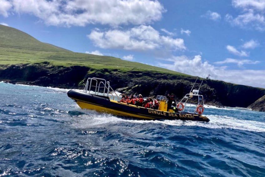Un barco llamado 'DINGLE SEA SAFARI' en el agua con una costa montañosa al fondo. 3