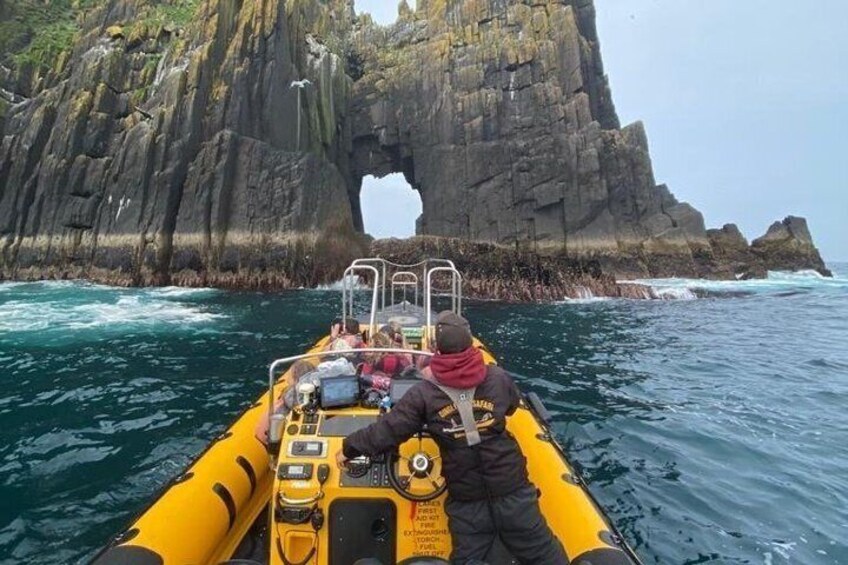 Exhilarating Rib experience - Dingle sea safari 2