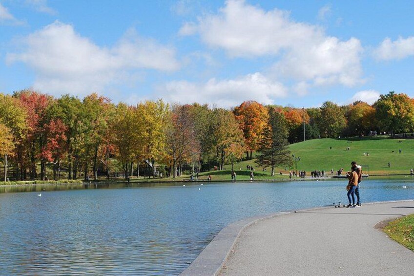 Small-Group Sightseeing Tour of Montreal 2