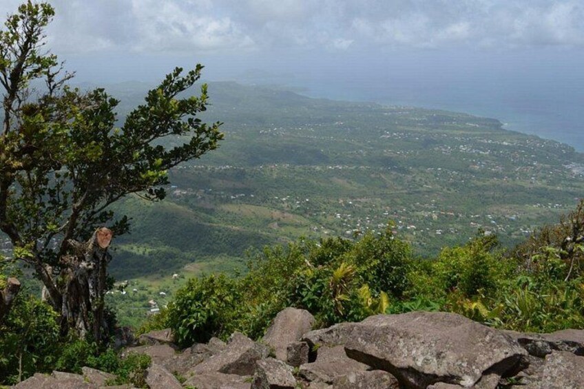Paesaggio montuoso con un albero, rocce e una costa all'orizzonte. 2
