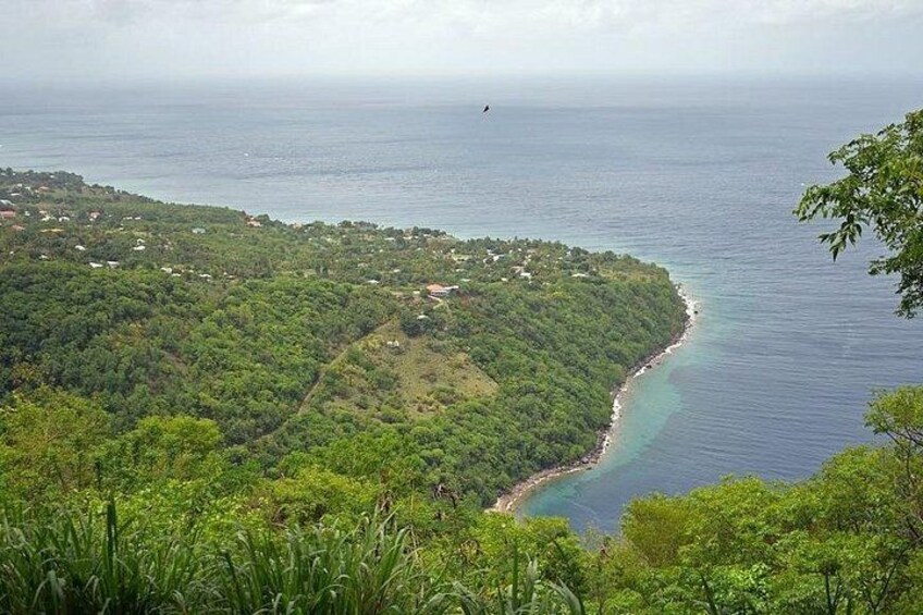 Paesaggio costiero con un litorale sinuoso, vegetazione verde lussureggiante e una vista lontana sull'oceano. 1